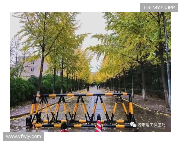 《保姆与保安》:当温情守护遇上烟火日常,一部触动心弦的都市情感剧