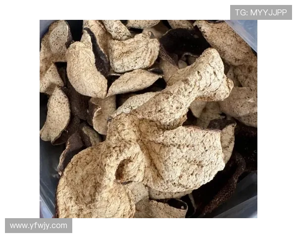 Mozu：不止是美味，更是生活的艺术与健康的秘诀