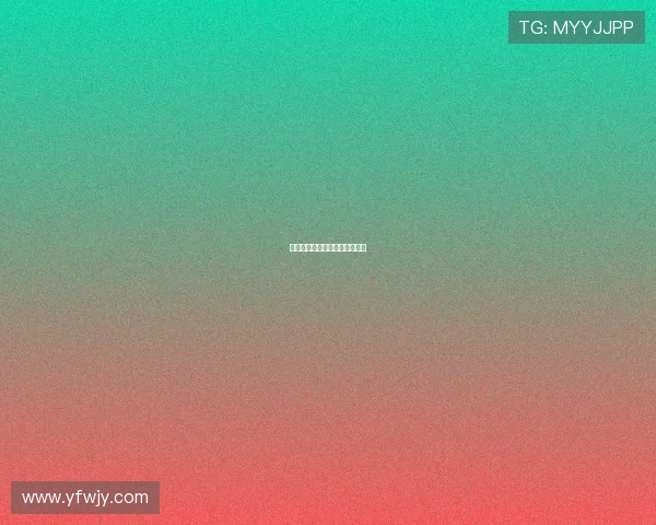 急速出击：抓住机遇，定义未来